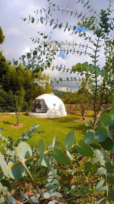 Dome In The Heart Of Boquete. Daire Dış mekan fotoğraf