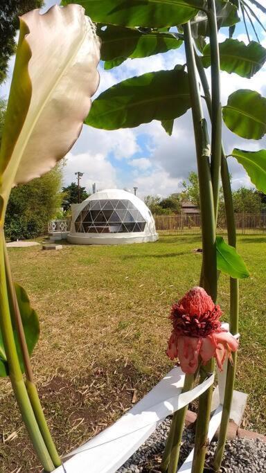 Dome In The Heart Of Boquete. Daire Dış mekan fotoğraf